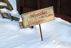 1393545_303088929829370_84249181_n