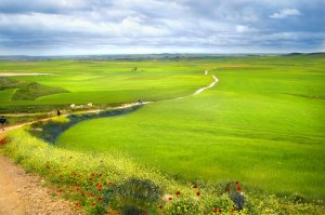 el-camino-kettesben-onmagaddal-29787