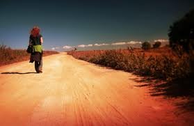 images (20)