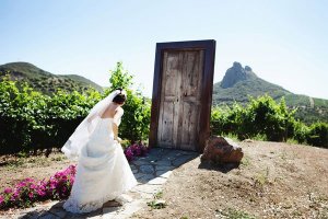 first-look-behind-door-1_0